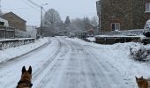 Tocht Stappen La Roche-en-Ardenne - Autour de Samree  - Photo 14