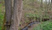 Randonnée Marche Aywaille - Deigné  - Forestia - Rouge Thier - Photo 4