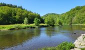 Tocht Stappen Bouillon - Botassart 240523 - Photo 13