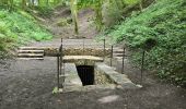 Tocht Stappen Les Granges-le-Roi - Forêt domaniale de Dourdan  - Photo 11