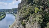 Tour Wandern Namen - aiguilles et forêt domaniale de Marche les Dames - Photo 9