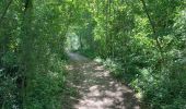 Trail Walking Hamois - Sentiers d'Art / Natoye -> Gesves / 2020-05-30 / 22 km - Photo 14