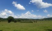 Tour Wandern Theux - jehanster . croix du petit Jean . vervifontaine . foyr . surister . jehanster  - Photo 1