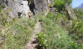 Excursión Senderismo Le Bourg-d'Oisans - Bourg d'Oisans les cascades - Photo 17