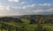 Excursión A pie Te Hiku Community - Te Araroa - 01 Northland - b Ahipara to Puketi Recreation Centre, Waiare Rd - Photo 2