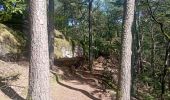 Trail Walking Lemberg - lemberger rothenbergerweg - Photo 10