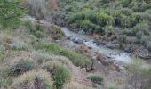 Tour Wandern Tanneron - z chemin charretier 30-10-18 - Photo 1