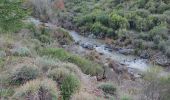 Tocht Stappen Tanneron - z chemin charretier 30-10-18 - Photo 1