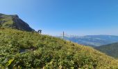 Tocht Stappen Talloires-Montmin - LA TOURNETTE DEPUIS MONTMIN PAR LA CHEMINEE DU LARS - Photo 5