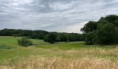 Randonnée Marche Anthisnes - Villers aux tours - Photo 6