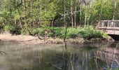 Trail Walking Tongeren - reser e de kevie - Photo 11