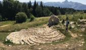 Trail Walking Saint-Martin-en-Vercors - La Sambue et le belvedere de Chateau Julien - Photo 3