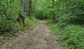 Randonnée Marche Azé - Azé - Bois et Champs - Photo 12