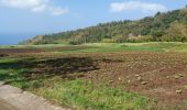 Excursión Senderismo Le Morne-Rouge - Domaine de la vallée via Hbt Pecoul - Photo 11