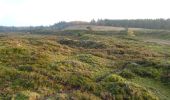 Trail On foot Unknown - Stensbæk Plantage - rød vandrerute - Photo 1