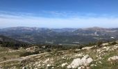 Trail Walking Mons - Le Lachens depuis Mons - Photo 4