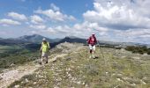 Trail Walking Caussols - CAUSSOLS-Les plateaux de Calern et de Caussols-MBO - Photo 12