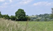 Tour Wandern Herve - 20240606 - IPA Verviers- Reconnaissance balade - Photo 17