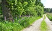 Tour Zu Fuß Unknown - Snogeholmsleden - Photo 2