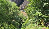 Tocht Stappen Prades - De Prades à la Seuge - Photo 2