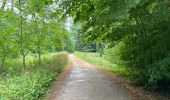 Trail Walking Westerlo - Westerlo Averbode 25,7 km - Photo 20