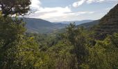 Randonnée Marche Lauroux - Forêt de Lauroux - Photo 9