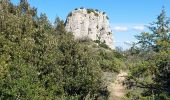 Percorso Marcia Plan-d'Aups-Sainte-Baume - Dent de la Roque Forcade après reco  - Photo 3