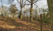 Trail Walking Saint-Pierre-de-Cormeilles - St Pierre de Cormeille - Photo 20