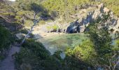 Randonnée Marche Hyères - Hyères - La presqu'île de Giens - Circuit côtier ouest  - Photo 17