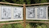 Trail Walking Libramont-Chevigny - Séviscourt - Photo 3