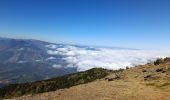 Tour Wandern Casteil - Jour 2 Pic du Canigou  - Photo 14