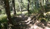 Tocht Stappen Autrans-Méaudre en Vercors - Autrans - Gève - Bec de l'Orient - La Buffe - Photo 7