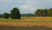 Excursión A pie Teupitz - Rundwanderweg Tornower See und Briesensee - Photo 1