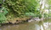 Tour Zu Fuß Uster - Uster - Pfannenstil Hochwacht - Photo 8