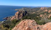 Trail Walking Saint-Raphaël - Cap Roux et grues depuis Belle-Barbe - Photo 12