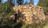 Randonnée Marche la Jonquera - 20230112 Site mégalithique- château Requesens  - Photo 13