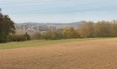 Tocht Stappen Bitsingen - Réserve naturelle heyoule - Photo 3