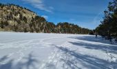 Randonnée Raquettes à neige La Llagonne - Les Bouillouses.( 66 MT LOUIS ) Pla des Aveillans-barrage des Bouillouses  - Photo 19