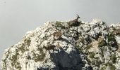 Randonnée Marche Corrençon-en-Vercors - Grande et Petite Moucherolle - Photo 4