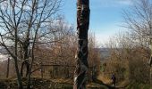 Tour Wandern Chantesse - vatilieu - Photo 4