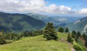 Percorso Marcia Ferrère - montagne d'Areng depuis la piste forestière après Férrères - Photo 10