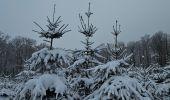 Percorso Marcia Aquisgrana - Aachenerwald ❄️⛄️ - Photo 13