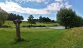 Excursión Senderismo Villers-la-Ville - #190324 - Rigenée, rives de la Thyle, château du Châtelet et golf**** - Photo 4