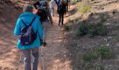 Excursión Senderismo Aureille - PF-Aureille - La Vallongue d'Aureille - MDu - Photo 2