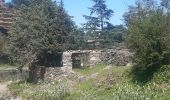 Tocht Stappen Collioure - autour de Collioure a travers les vignes - Photo 20