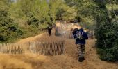 Trail Walking Bandol - Boucle Bandol - Port d'Alon - Dune de sable - La Madrague - Port d'Alon - Bandol - Photo 20