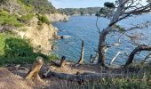 Randonnée Marche Hyères - Giens boucle ouest - Photo 17