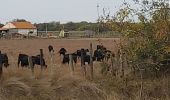 Tocht Wegfiets Agde - bezier aide  - Photo 1