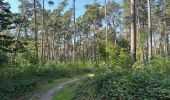Trail Walking Oud-Heverlee - Meedael Bos st Jorisweet weg parking 16 km - Photo 3