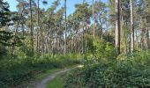 Tour Wandern Oud-Heverlee - Meedael Bos st Jorisweet weg parking 16 km - Photo 3